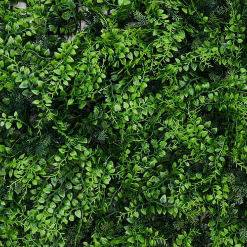 Panel Jardin Vertical Artificial Muro Planta Amazonas 1