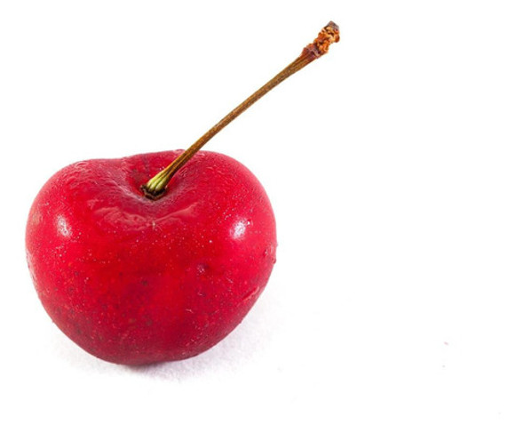 Cerezo Frutal Napoleón 1.8m Injertado Fotos Mías 0 Cerezo Frutal Napoleón 1.8m Injertado Fotos Mías 0