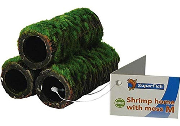 Acuario Superfish Camarones Hogar Con Musgo Tropical Pecera 0 Acuario Superfish Camarones Hogar Con Musgo Tropical Pecera 0