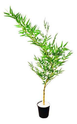 Planta Artificial Bambu Mossô Da Sorte Com Vaso De Apoio 0
