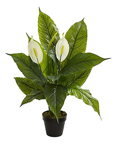 Casi Natural 8318 Plantas De Seda Artificiales Tacto Real Co 0