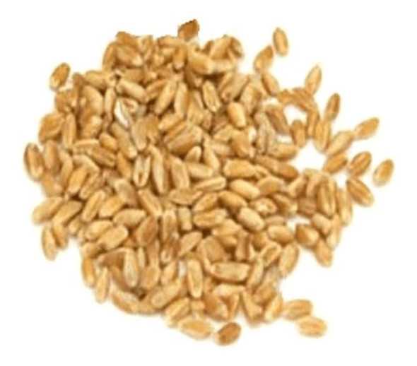 Trigo Candeal Pelado X 1kg 0