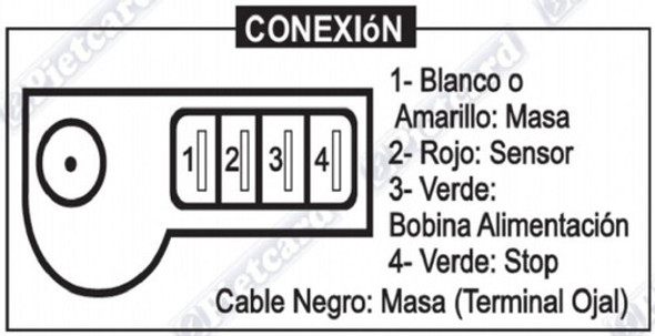 Cdi Con Bobina Pietcard 3209 1