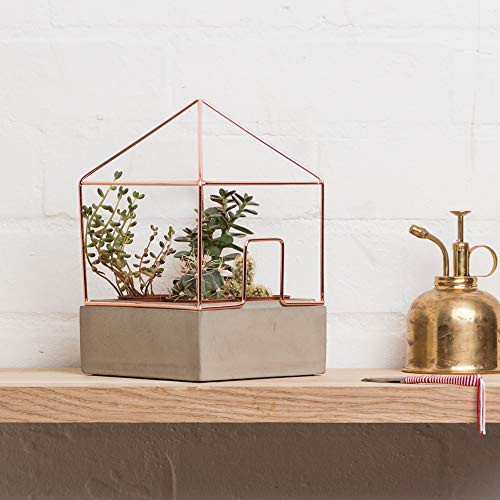 Buen Diseño Funciona Casa De Planta De Cobre 1
