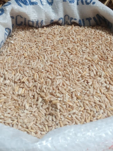 Avena Pelada Para Pájaros X10kg. Caba 1