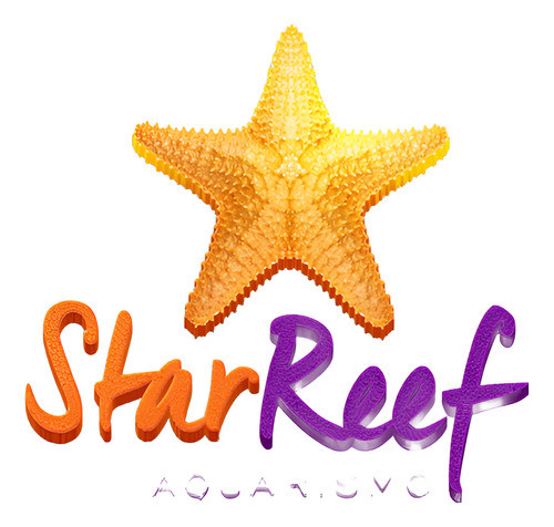 Quantum Bio Enhance 1l Suplemento De Aminoacido P/marinho 1