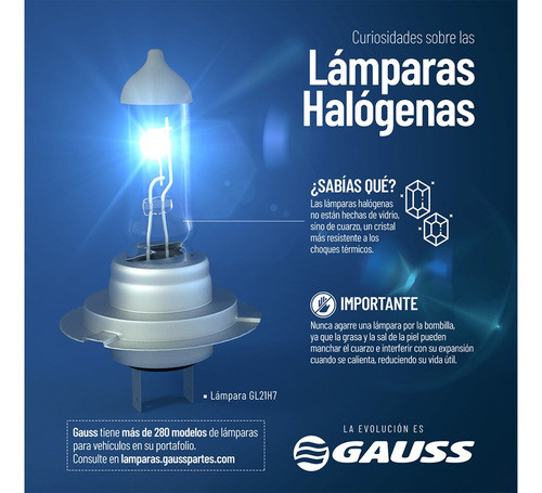 Lampara        Hs5 12v 24w. P23t Honda 1