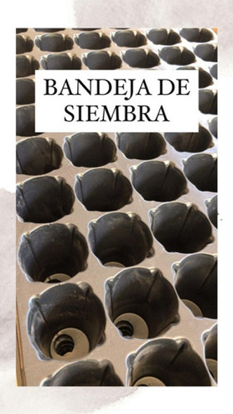 Bandeja De Siembra Para Almácigos 1