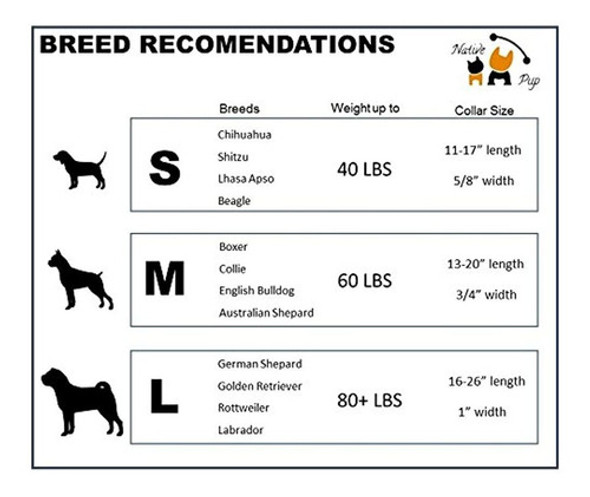 Collar De Perro De Corazon De Dia De San Valentin Cachorr 1