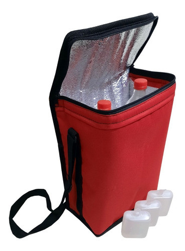 Bolso Termico Plegable + 3 Geles Refrigerantes Rigidos 1