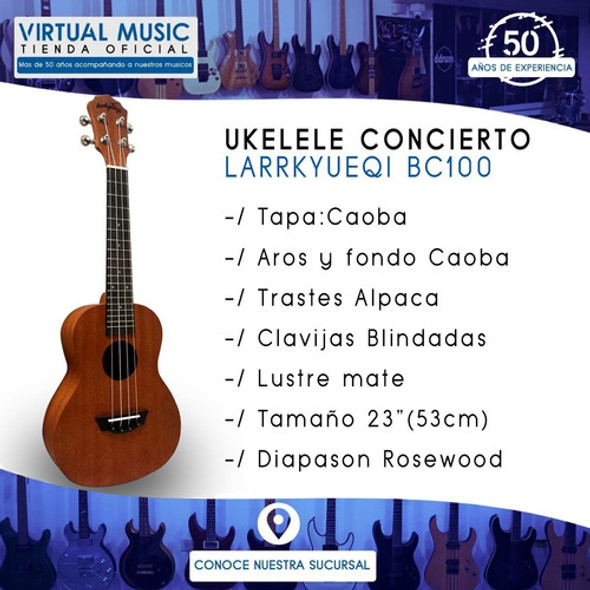 Ukelele Concierto De Estudio Madera Colores Funda 1
