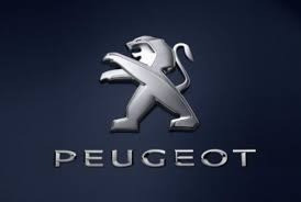 Kit X 4 Espiral Resorte Peugeot  408 Progresivo 1