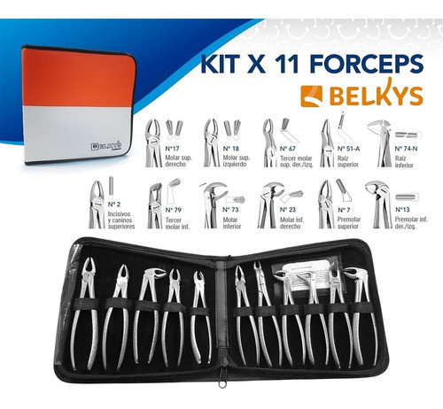 Kit Juego 11 Forceps + Estuche Belkys Odontología 1