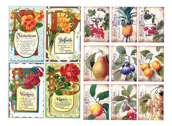 Láminas De Decoupage Set Etiquetas De Flores Y Frutas 0