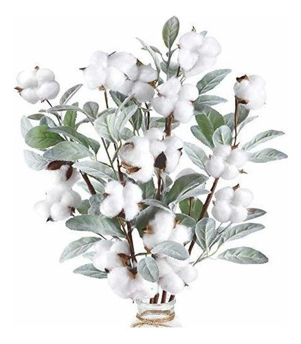 Cewor 5 Tallos De Algodón De 23.5  Ramas De Flores De Algodó 0