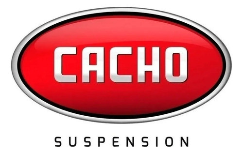 Resorte Neumático  Renault 19 Cabriolet Baul 1