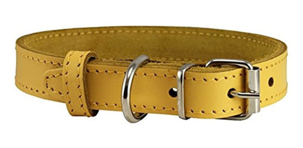 Autentica Piel Perro Cuello Amarillo 4 Tamaños 0