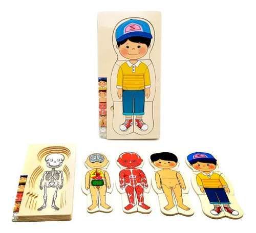 Puzle Cuerpo Humano 0