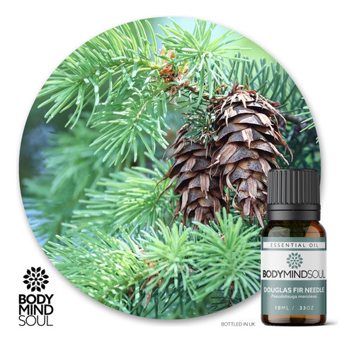 Óleo Essencial Bms Abeto Douglas - Douglas Fir Needle - 10ml 1