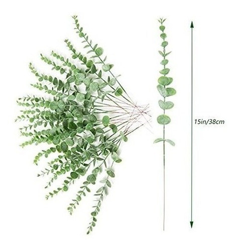 Ramas Artificiales De Eucaliptus X30u. Verde Polvoriento 1
