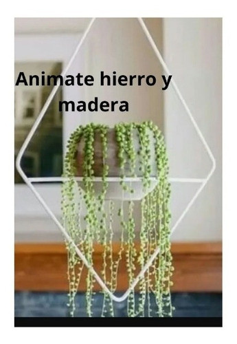 Porta Macetas Colgantes 1