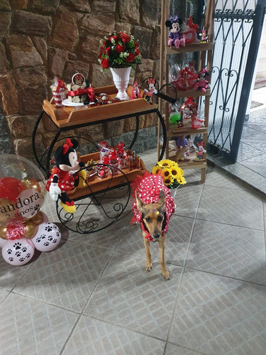 Carrinho Industrial Para Decoração De Aniversários Eventos 1