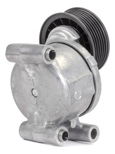 Polea Tensora De Correa Multifuncion De Motor Ford Focus Ii 1