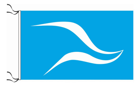 Bandera De Ciudad De Neuquén Estampada De Flameo 150x90cm 0