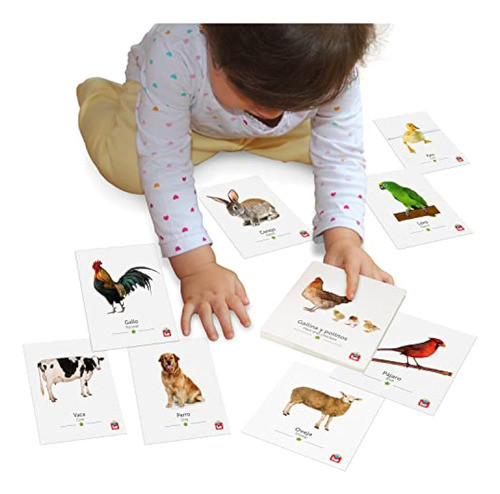 Tool-be Tarjetas Didácticas Bilingües De Animales 0