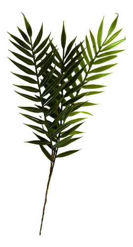 Hoja De Palmera 40 Cm Decoracion Pack Unitario 1