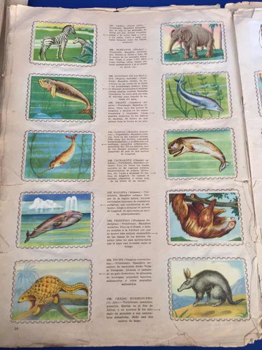 Álbum De Figuritas Animales Del Mundo 1