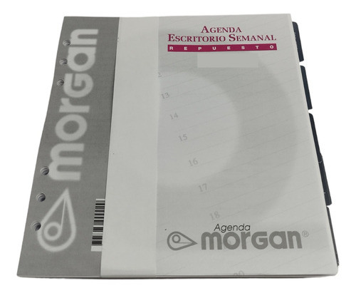 Repuesto Agenda Morgan Escritorio 2021 Semanal Completo 1