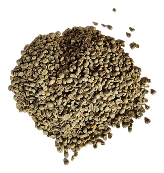 Café Cru 5kg Café Verde Para Torrar 0 Café Cru 5kg Café Verde Para Torrar 0