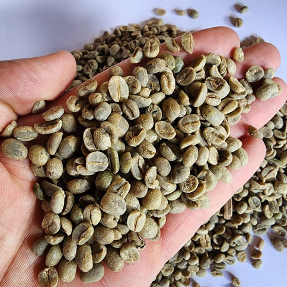 Café Cru 5kg Café Verde Para Torrar 1 Café Cru 5kg Café Verde Para Torrar 1