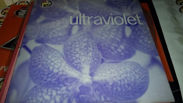 Ultraviolet Hazlo Otra Vez Vinilo Maxi Spain Raro De Ver 94 0