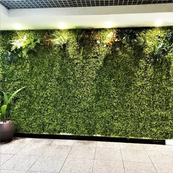 Placa  Mini Samambaia 40x60 Jardim  Muro Vertical C/ 12  Un 1 Placa  Mini Samambaia 40x60 Jardim  Muro Vertical C/ 12  Un 1