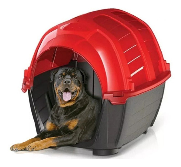 Casilla Para Perros Stone House N°2 1