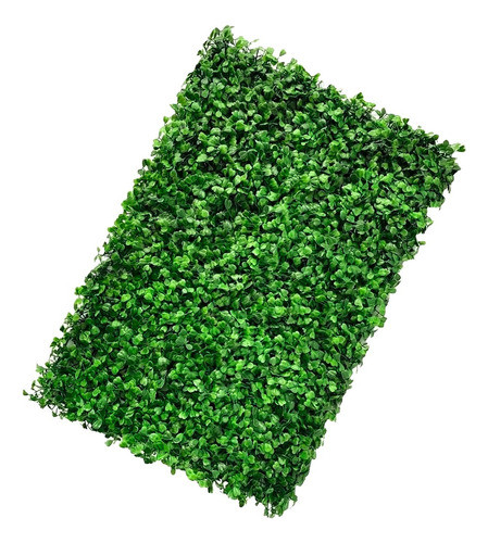 Kit C/8 Und Placa Buchinho Cheia 40x60cm Jardim Vertical 0