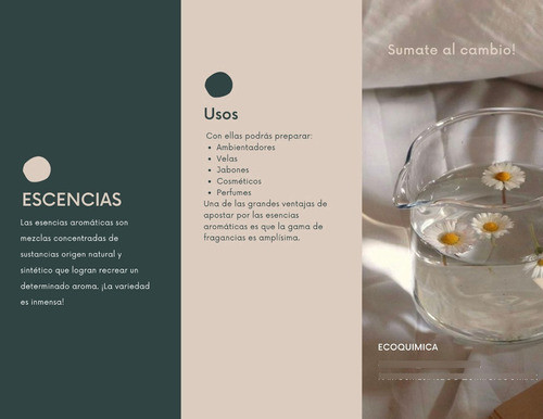 Esencia De Manzana 250cc 1