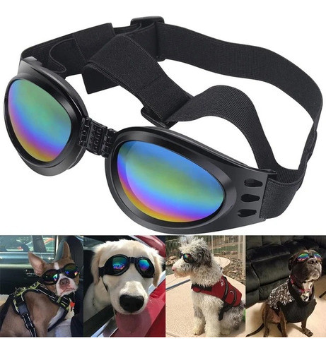 Lentes Para Perros, Ultima Moda !!! 1