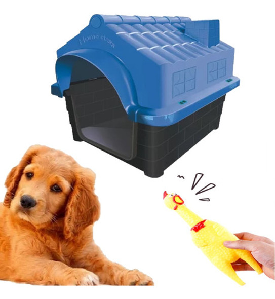 Brinquedo Galinha Plastico Cães + Casinha Pet Grande N4 Azul 0