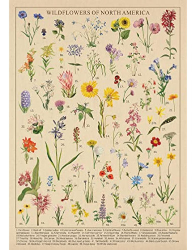 Rompecabezas Vintage De Flores Silvestres De 1000 1