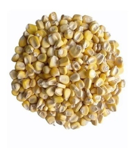 Maiz Amilaceo X 1kg - Calidad Premium - 100% Natural 0