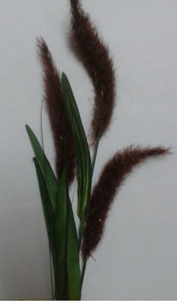 Planta Artificial Vara Plumerillo Pennisetum De 65cm $it 0 Planta Artificial Vara Plumerillo Pennisetum De 65cm $it 0