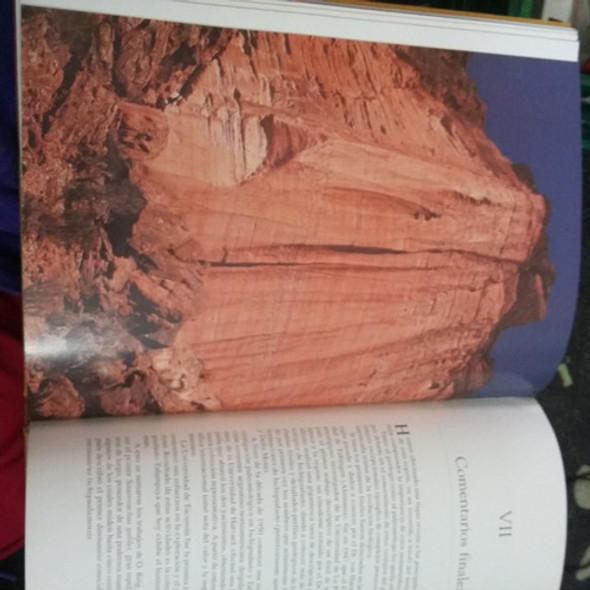 Libro Ischigualasto Talampaya Tiempo De Dinosaurios (13) 1