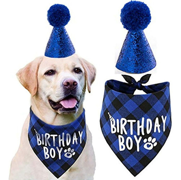 Suministros Para Fiesta De Cumpleaños De Perro Jpb, Sombrer 0