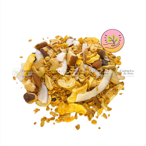 Granola Zero Açúcar Especial 500g - Frutas E Castanhas 0