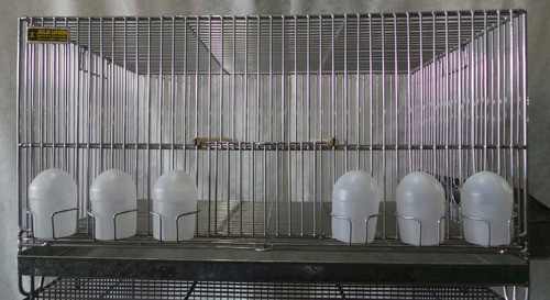 Jaulas Lopardo Voladoras Reforzada 60x40x32cm 6 Com. 1 Chapa 0