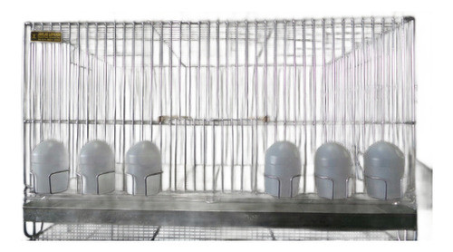 Jaulas Lopardo Voladoras Reforzada 60x40x32cm 6 Com. 1 Chapa 0