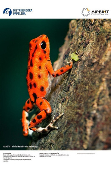 Rollo Vinilo Imprimible Adhes Bco Brillo Base Negra 1.06x50m 1